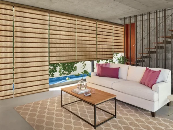 Vignette Modern Roman Shades Savannah Living Room
