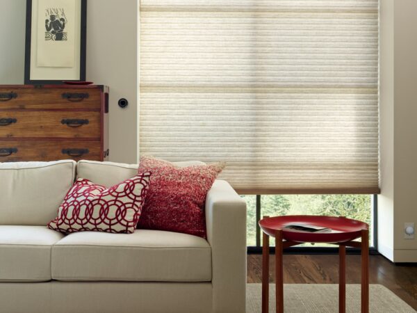 Allustra Duette Honeycomb Shades couch detail