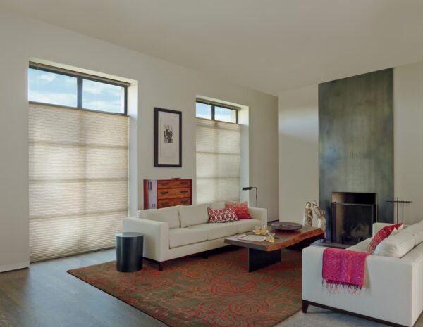 Allustra Duette Honeycomb Shades leela living room after