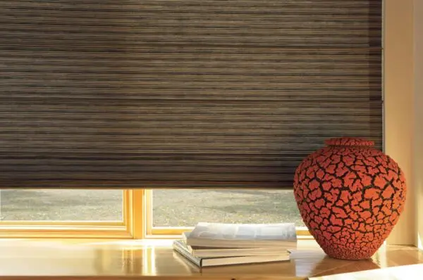 Design Studio Roman Shades Organica Living Room