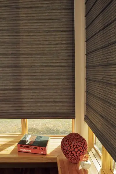 Design Studio Roman Shades Organica Living Room