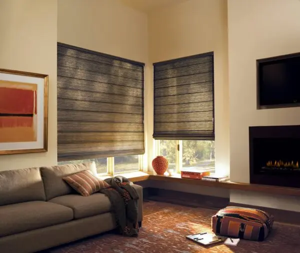 Design Studio Roman Shades Organica Living Room