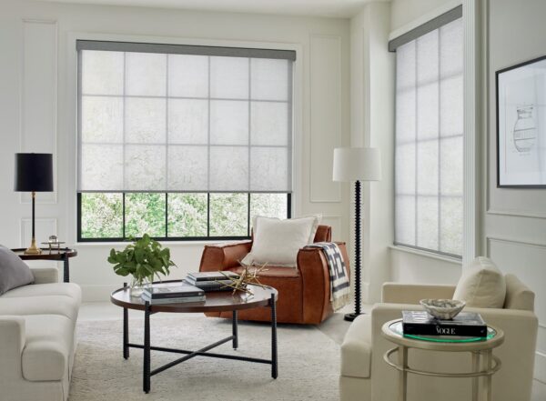 Designer Roller Shades all the rage livingroom