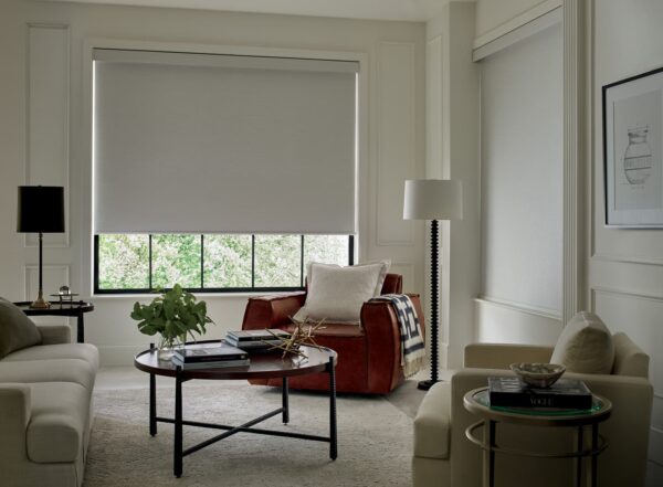 Designer Roller Shades amato livingroom