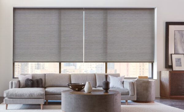 Designer Roller Shades maya herocloseupshot