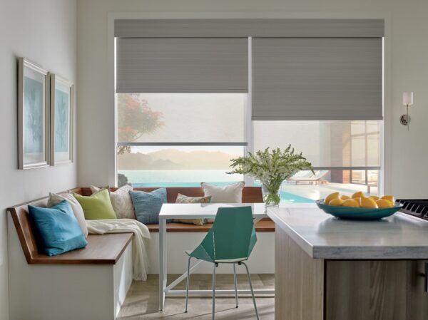 Designer Roller Shades pvdr carter kitchen