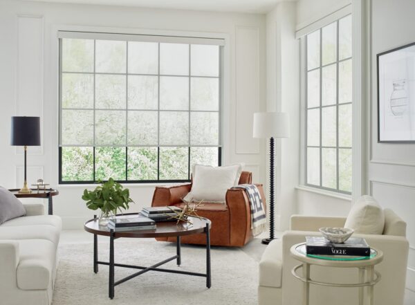 Designer Roller Shades travinia livingroom