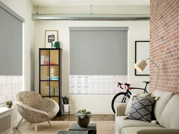 Designer Screen Shades Duo New Orleans Living Room