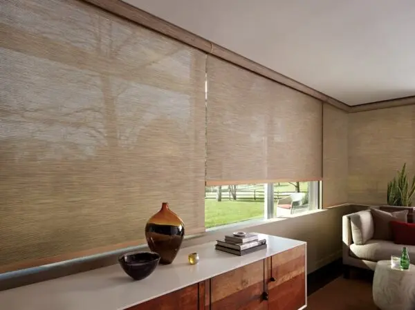 Designer Screen Shades Indian Basket Living Room without Hub