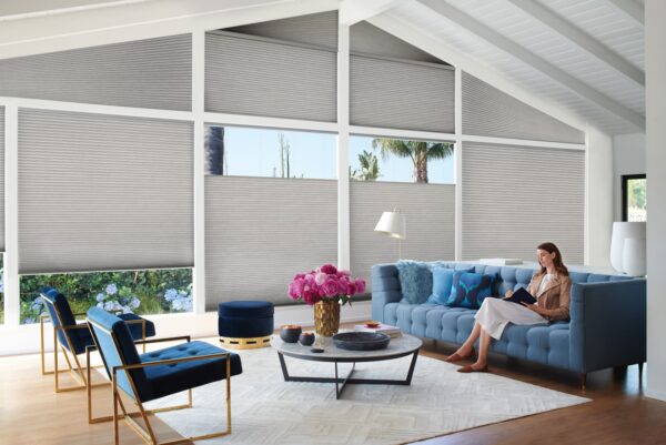 Duette Honeycomb Shades calypso livingroom model