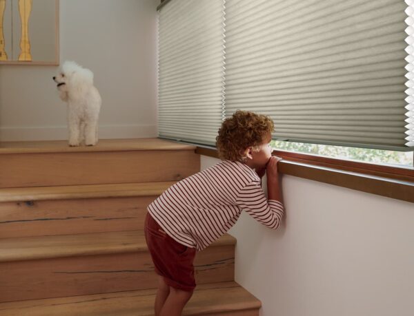 Duette Honeycomb Shades child safety model