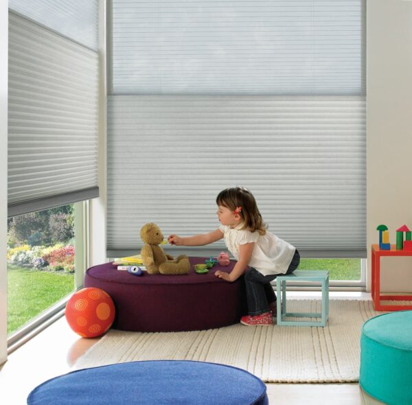 Duette Honeycomb Shades classic whisper kids room