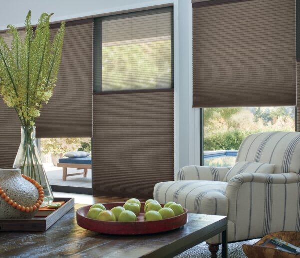 Duette Honeycomb Shades duolite whisper living room