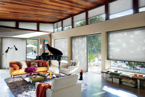 Duette Honeycomb Shades great room