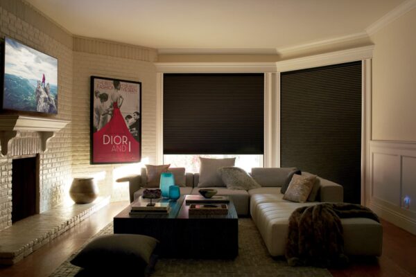 Duette Honeycomb Shades lightlock mediaroom