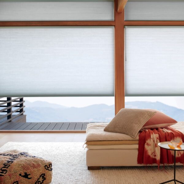 Duette Honeycomb Shades living room 2