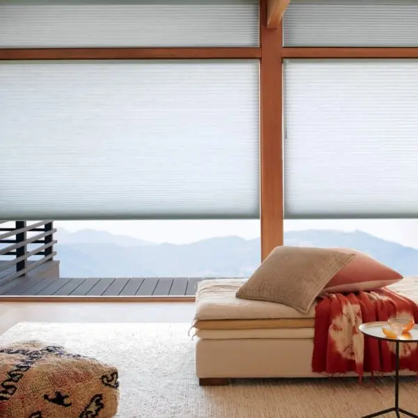Duette Honeycomb Shades living room 2