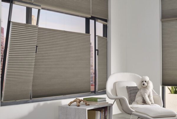 Duette Honeycomb Shades trackglide with dog