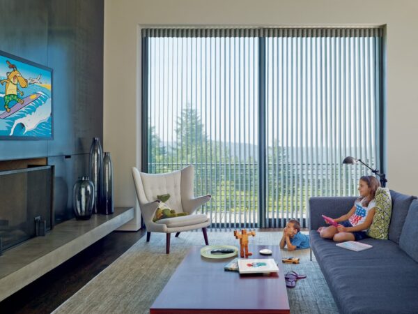 Luminette Privacy Sheers solar screen media room