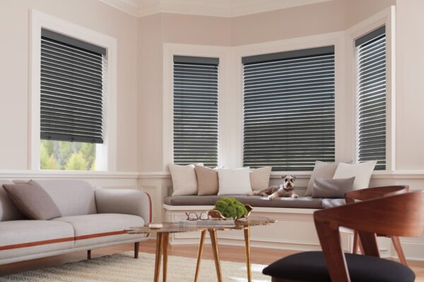 Parkland Wood Blinds matte living room dog