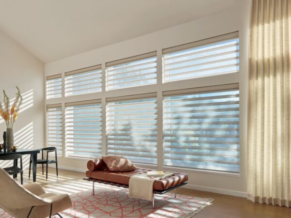 Pirouette Window Shadings grant before and after living room after