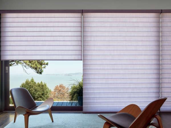 Pirouette Window Shadings satin bedroom medium detail closed