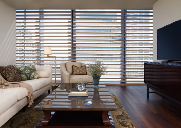 Pirouette Window Shadings satin metallic notalent living room