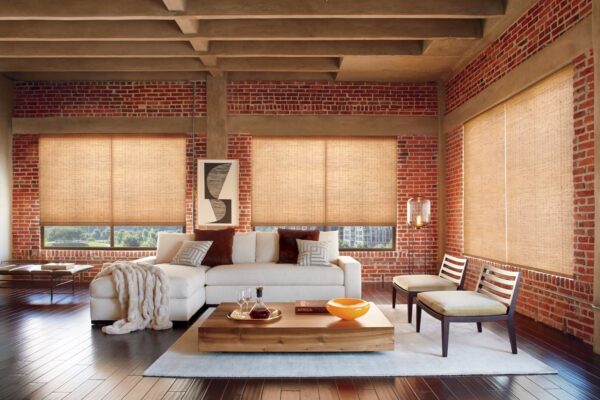 Provenance Woven Wood Shades duo Jute forest loft