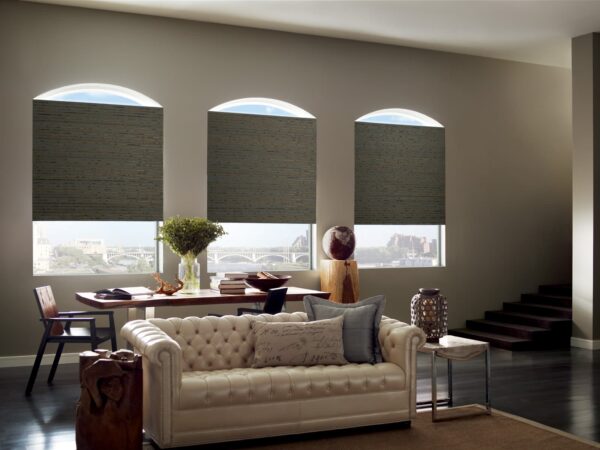 Provenance Woven Wood Shades telluride living room