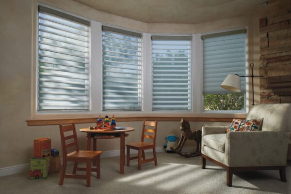 Silhouette Window Shadings childsroom