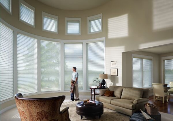 Silhouette Window Shadings livingroom