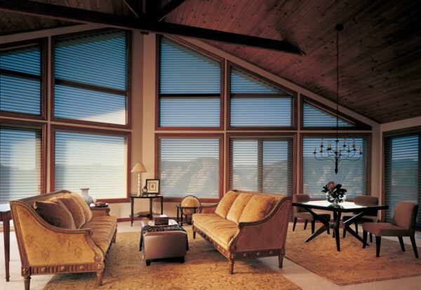 Silhouette Window Shadings mountainlivingroom