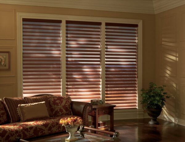 Silhouette Window Shadings quartette matisseformalden