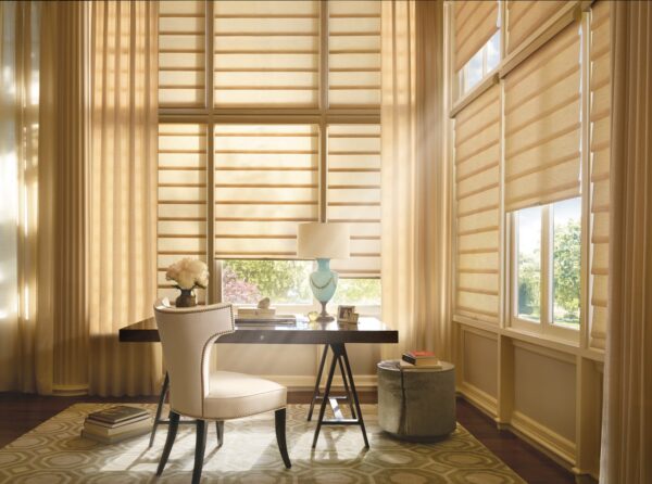 Vignette Modern Roman Shades indiasilk office