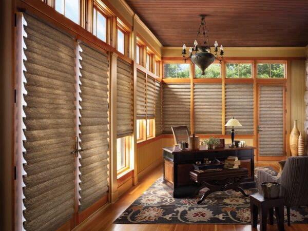 Vignette Modern Roman Shades pampa office