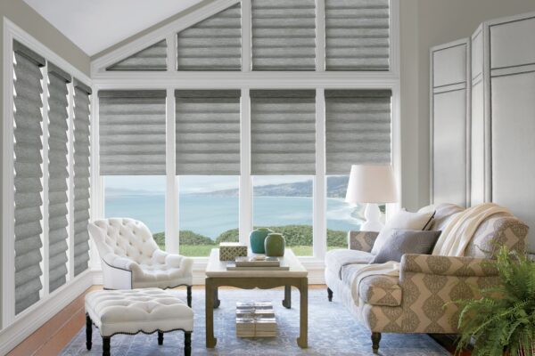 Vignette Modern Roman Shades pampa sunroom1